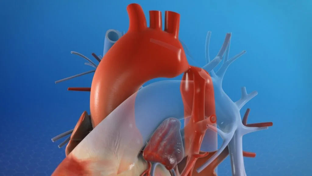 Heart-inside